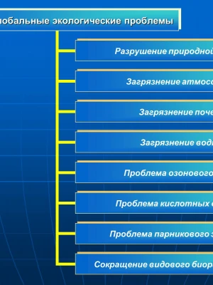 Экологические аспекты ремонта офисов